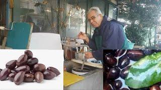 Ελιές με Αλάτι και ξινό  How to make eddible olives