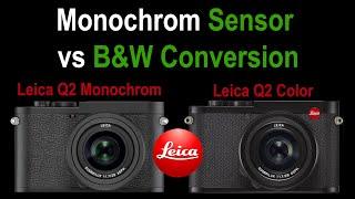 LEICA Monochrom SENSOR vs Black and White CONVERSION