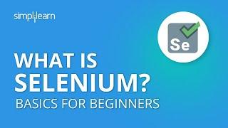 What Is Selenium?  Selenium Basics For Beginners  Introduction To Selenium  Selenium Simplilearn