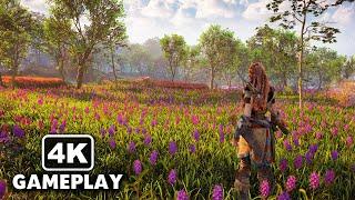 Horizon Forbidden West Open World Free Roam Gameplay in 4K 60FPS PC Ultra Graphics