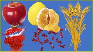 How Eating Fiber Can Help You Lose Belly Fat?  Does Fiber Help with Weight Loss?