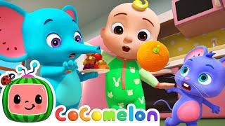 Opposites Song Animal Version  CoComelon Nursery Rhymes & Kids Songs