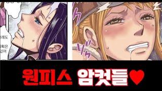 히토미 작품 추천 11탄 원피스 나미와 로빈이 암캐가 되는 이야기️