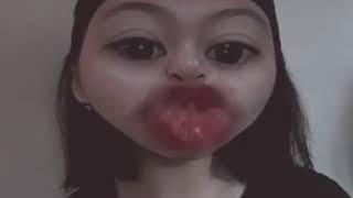 Bibir besar