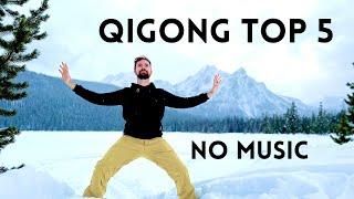 Best 5 Qigong Exercises for Beginners  NO MUSIC