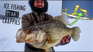 Ice Fishing GIANT Crappies in Shallow Water + TIPS & TECHNIQUES