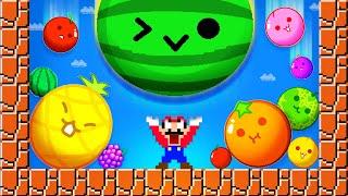 Mario vs The Watermelon Game SUIKA But It RANDOM