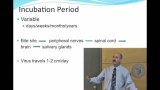 Taking the Bite Out of Rabies 4. Incubation Period - class