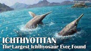 Ichthyotitan the Largest Ichthyosaur Ever Found