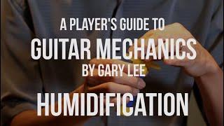 Humidity and the Guitar with Luthier Gary Lee