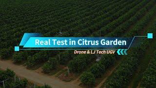 Orchard Spraying Results Field Test Drone VS UGV