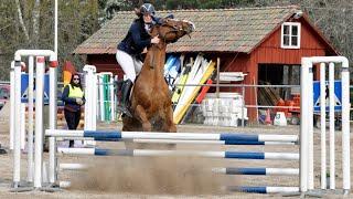 EQUESTRIAN FAILS FALLS AND MORE