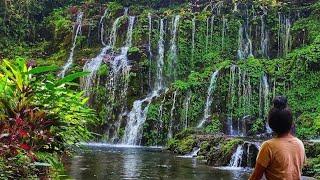 Ini Yang Akan Dilihat Saat Pagi Hari di Desa di Bali. Suara Air Terjun & Hujan Bikin Betah