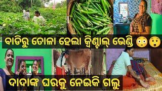 ଖୁଡି ଘରକୁ ଗଲୁ  Family vlog  Nature girl sneha  Odia vlog  Village Lifestyle vlog  cow 