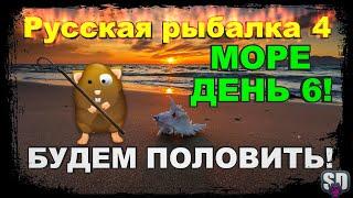 Русская Рыбалка 4 *МОРЕ ДЕНЬ 6   + БУСТ НОВИЧКОВ*