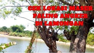 spot yg konon katanya ANGKER bengawan mati lamongan. part 1 #pasermania #paserikan