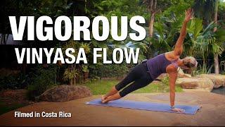 Vigorous Vinyasa Flow Yoga Class 30 min - Five Parks Yoga