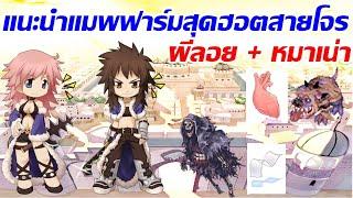 LIVE ROC SV.Baphomet EP.379  แนะนำแมพฟาร์มสายโจรที่ขยะทำยาราคาดีตอนนี้...o_0  