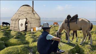 Daily Nomadic life in the wilderness  Nature asmr sounds