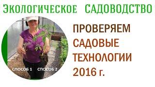 Проверяем садовые технологии 2016 г. Видеолекция