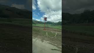 Sugarcane planting harvesting processing farming at Bais city #philippines #travel #farming