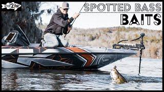 3 Go-To Baits for Spotted Bass Top To Bottom