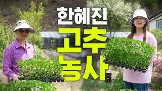 엄마랑 대판 싸운? 한혜진의 시골일기  10만원빵 게이트볼 고추 농사 꽃게먹방