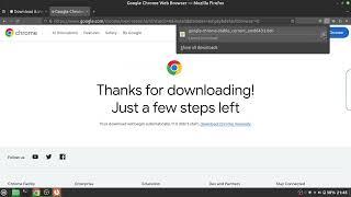 How to install google chrome in linux mint  2024