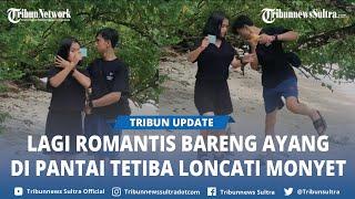 Viral Ingin Buat Video Romantis di Pinggir Pantai Duo Sejoli Diganggui Monyet Sampai Bubar