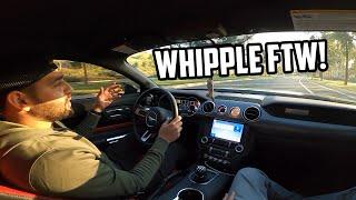 WHIPPLE SUPERCHARGED MUSTANG FIRST DRIVE REACTION From a ProCharged Mustang Owner