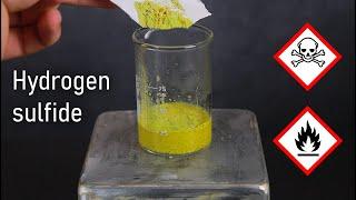 Making Hydrogen Sulfide From Common Household Materials  LabCoatz Shorts