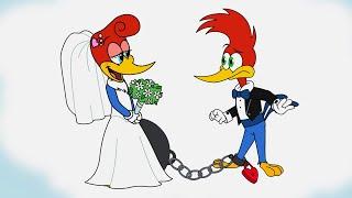 Woody Is In Love  Woody Woodpecker