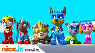 PAW Patrol Patrulla de cachorros  30 minutos de las mejores misiones de Paw Patrol  Nick Jr.