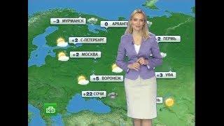 Екатерина Решетилова - Прогноз погоды 26.10.12