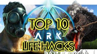 Top 10 Life Hacks in ARK Community Voted