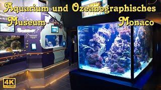 Aquarium und Ozeanographisches Museum Monaco