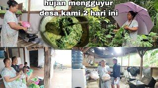 petik daun singkong langsung kita masak2hari hujan di kampung ku