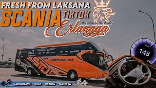 UNIT SCANIA PREMIUM TERBARU STJ  Trip Report Sudiro Tungga Jaya ERLANGGA