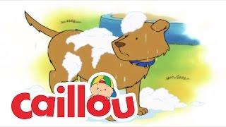 Caillou Lost and Found  Videos For Kids