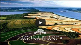 Laguna Blanca Kunst an der Natur