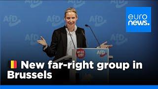 AfD and allies form new far-right group in Brussels called Europe of Sovereign Nations  euronews 