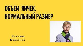 Размер яичка. Какой размер яичка должен быть. Что должно насторожить.