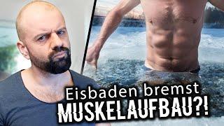 Studien zeigen EISBADEN hemmt Muskelwachstum? - Zellbiologe klärt auf  Dr. Malte Puchert