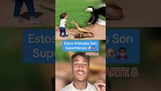 Estos Animales Son Superhéroes Parte 8 ‍️ #shorts