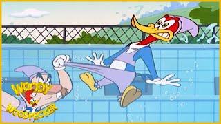 Woody Woodpecker Show  Sync Or Swim  1 Hour Compilation  Cartoons For Children