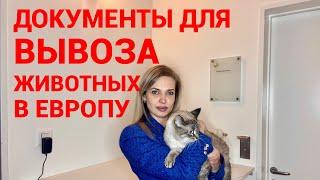 Необходимые документы для выезда с животными за границу из Украины