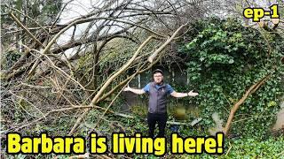 MADNESS Trees Cut Down.. Rested On Her ROOF *Helping Barbara Ep1*