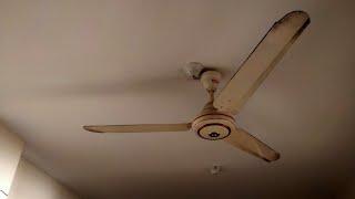 56 Prodip Ceiling Fan