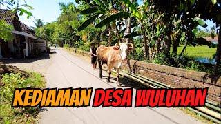 review Pertama kali lewat DI DESA WULUHAN JEMBER INDONESIA village  Pemandangan yang masih Asri