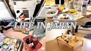 Vlog Daily life in Japan The day I returned to my parents home in Tokyo.